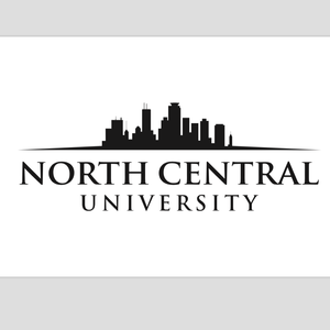 NORTH CENTRAL UNIVERSITY ENGINEERING visual data 2